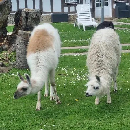 Lägenhet La Tourelle De La Chaumiere *