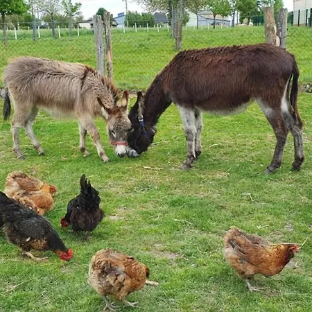 La Tourelle De La Chaumiere